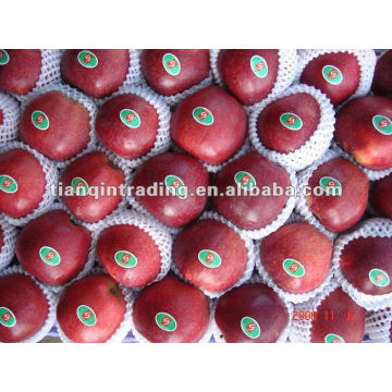 2012 fresh huaniu apple exporter